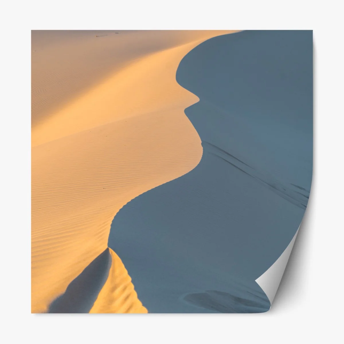 Naklejka repozycjonowalna złote krzywizny wydm – Wallissimo® Naklejka repozycjonowalna złote krzywizny wydm – Wallissimo®