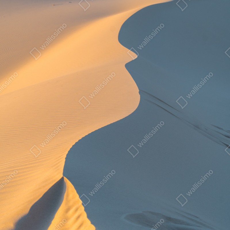 Naklejka repozycjonowalna złote krzywizny wydm – Wallissimo® Naklejka repozycjonowalna złote krzywizny wydm – Wallissimo®