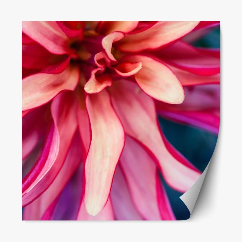 Naklejka repozycjonowalna zamarznięte jezioro o świcie z leśnym odbiciem – Wallissimo®