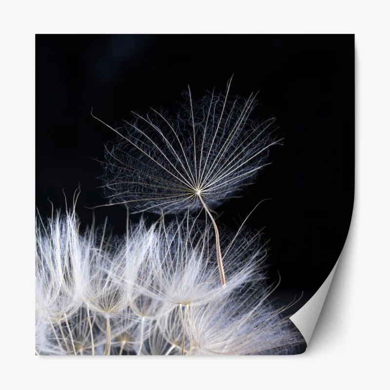 Naklejka repozycjonowalna tropikalny wzór z tukanem i kwiatami – Wallissimo®