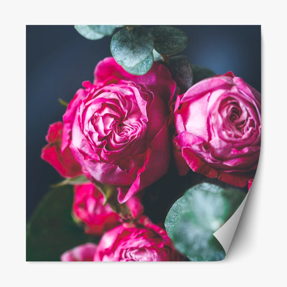 Naklejka repozycjonowalna różany bukiet makro – Wallissimo® Naklejka repozycjonowalna różany bukiet makro – Wallissimo®
