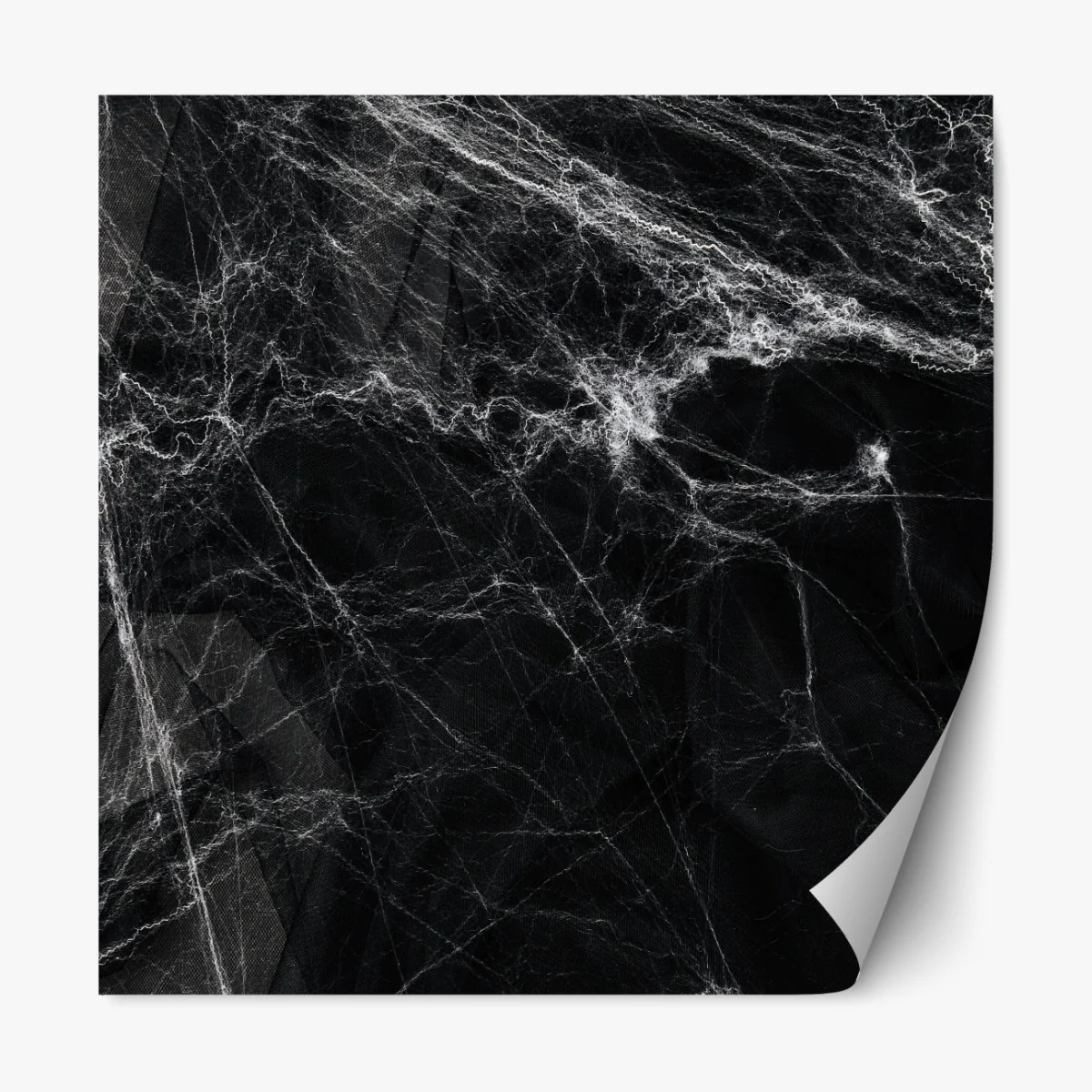 Naklejka repozycjonowalna mroczna pajęczyna na czarnym tle – Wallissimo® Naklejka repozycjonowalna mroczna pajęczyna na czarnym tle – Wallissimo®