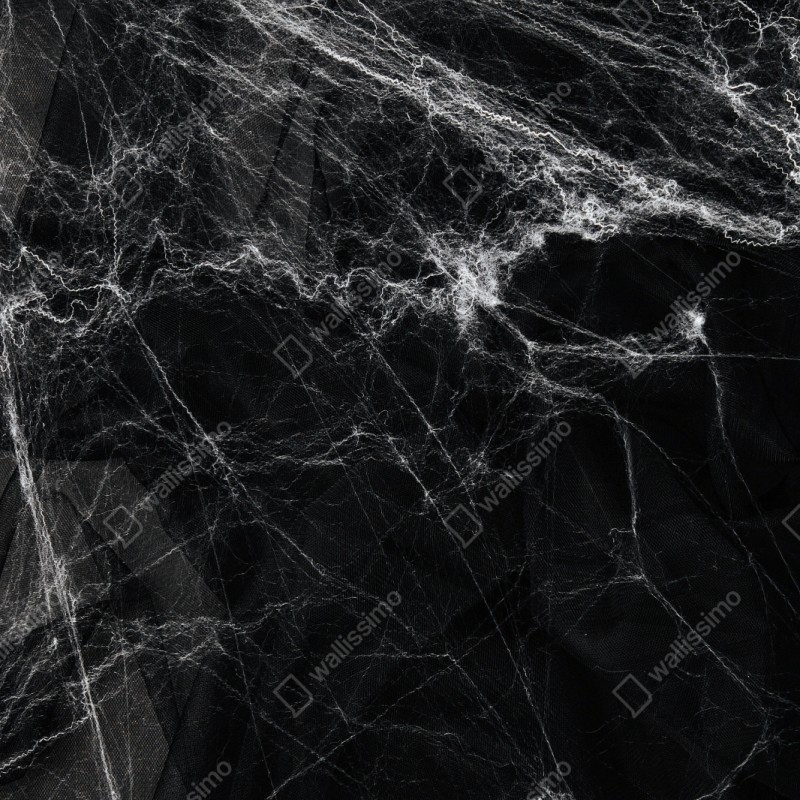 Naklejka repozycjonowalna mroczna pajęczyna na czarnym tle – Wallissimo® Naklejka repozycjonowalna mroczna pajęczyna na czarnym tle – Wallissimo®