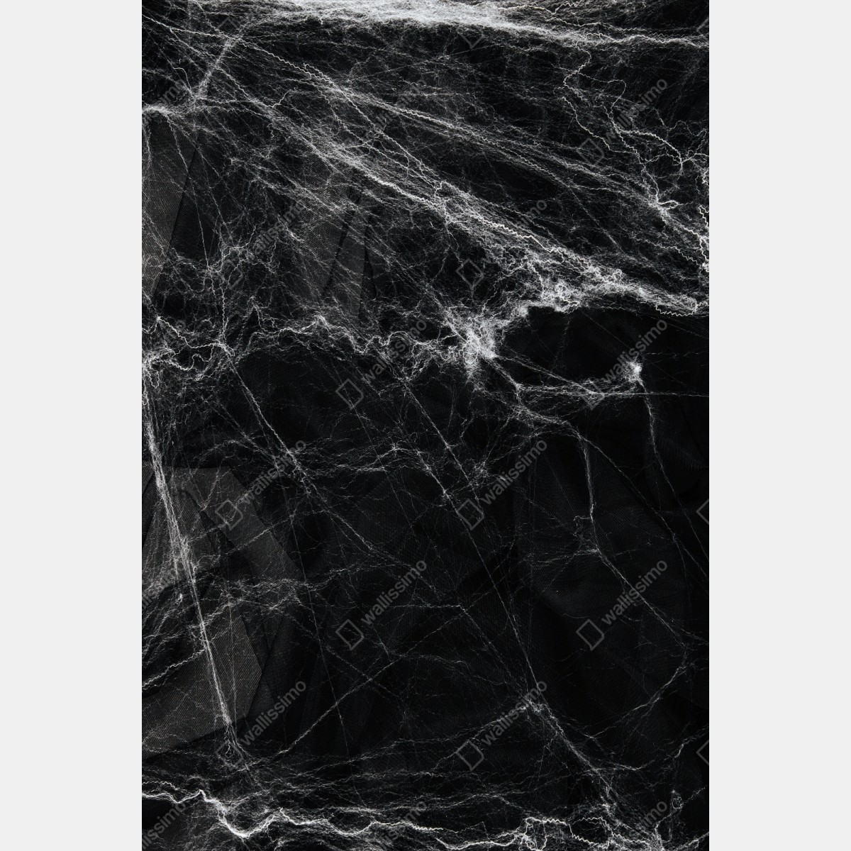 Naklejka repozycjonowalna mroczna pajęczyna na czarnym tle – Wallissimo® Naklejka repozycjonowalna mroczna pajęczyna na czarnym tle – Wallissimo®