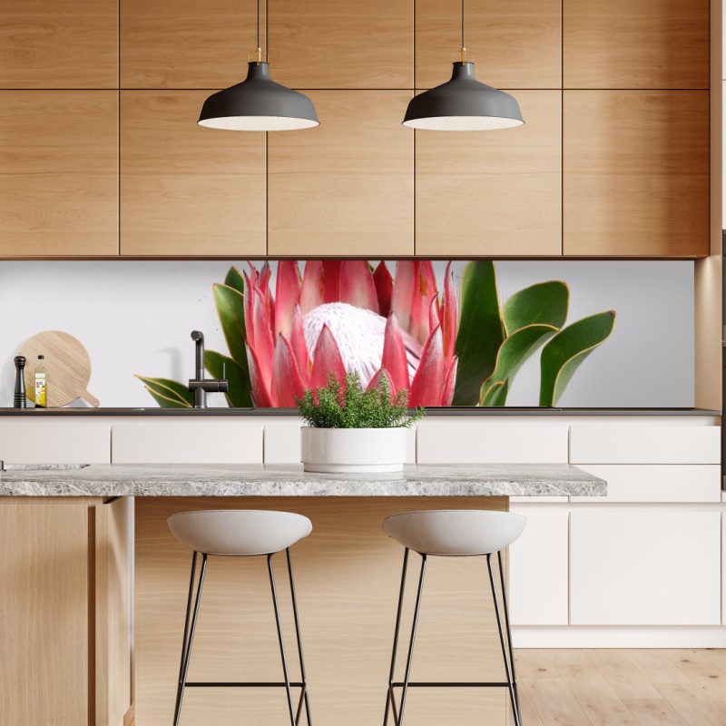 Naklejka repozycjonowalna portret studyjny czarnego labradora – Wallissimo®