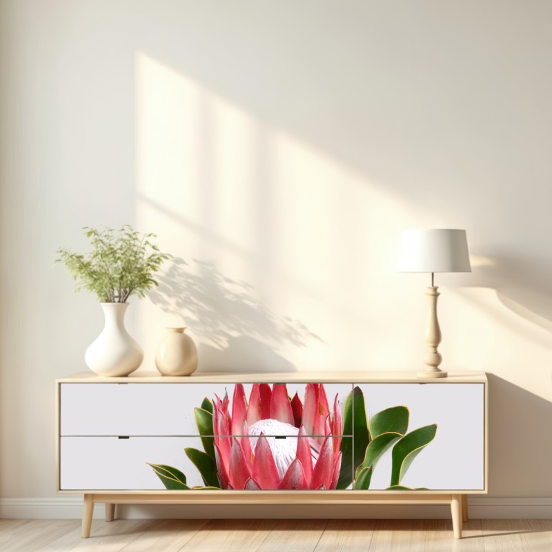 Naklejka repozycjonowalna różowa protea na neutralnym tle – Wallissimo® Naklejka repozycjonowalna różowa protea na neutralnym tle – Wallissimo®