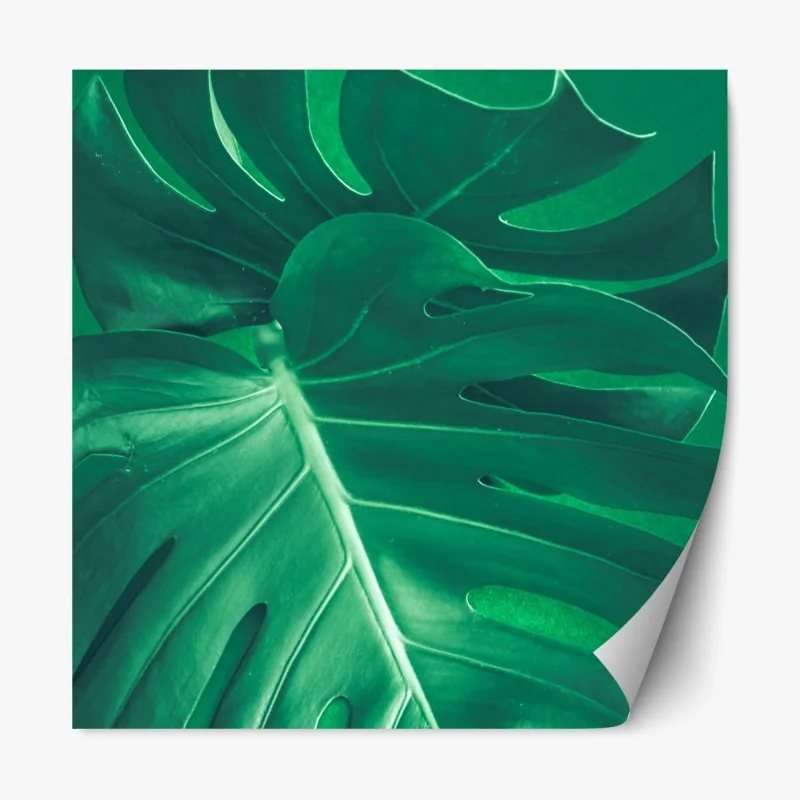 Naklejka repozycjonowalna pole czerwonych maków – Wallissimo®