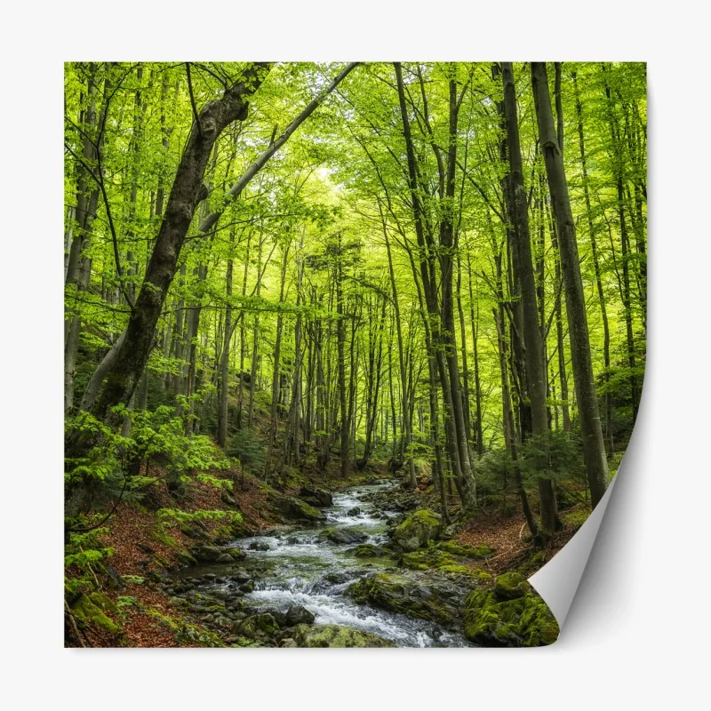 Naklejka repozycjonowalna złote tropikalne liście line art – Wallissimo®