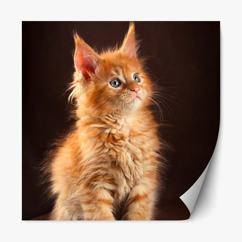 Naklejka repozycjonowalna tropikalne liście i cytrusowa ilustracja – Wallissimo®