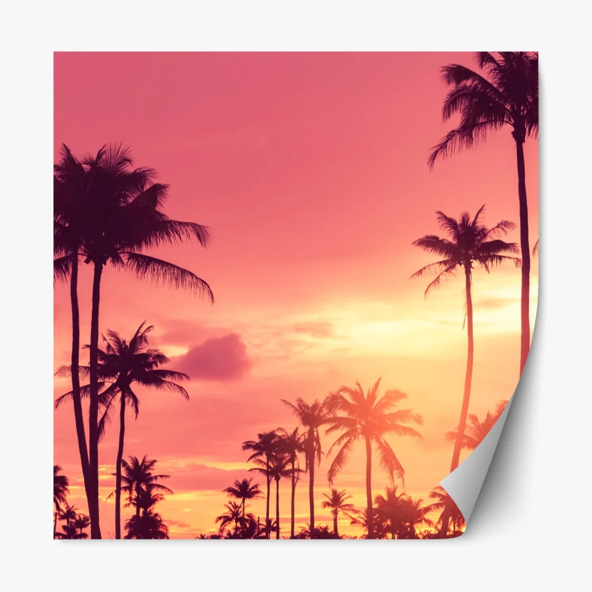 Naklejka repozycjonowalna różowy tropikalny zachód słońca z palmami – Wallissimo® Naklejka repozycjonowalna różowy tropikalny zachód słońca z palmami – Wallissimo®