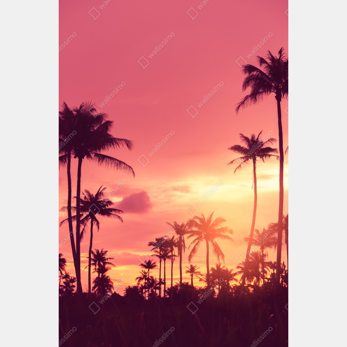 Naklejka repozycjonowalna różowy tropikalny zachód słońca z palmami – Wallissimo® Naklejka repozycjonowalna różowy tropikalny zachód słońca z palmami – Wallissimo®