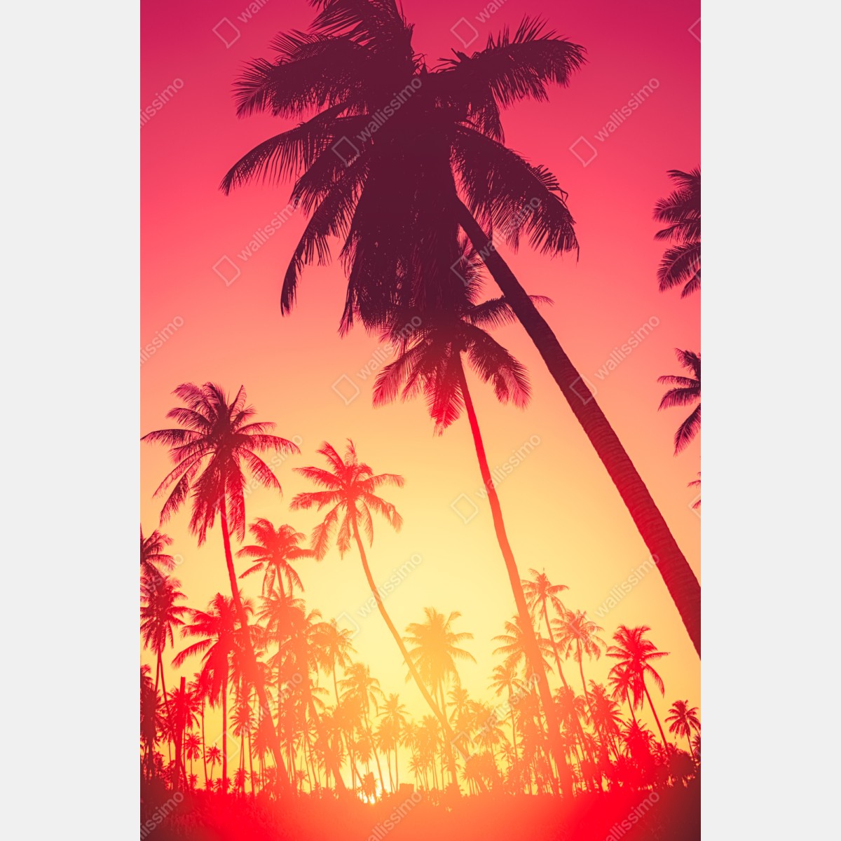 Naklejka repozycjonowalna tropikalny zachód słońca z palmami – Wallissimo® Naklejka repozycjonowalna tropikalny zachód słońca z palmami – Wallissimo®