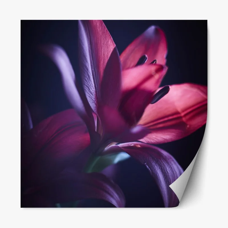 Naklejka repozycjonowalna psychodeliczny pop artowy sen – Wallissimo®