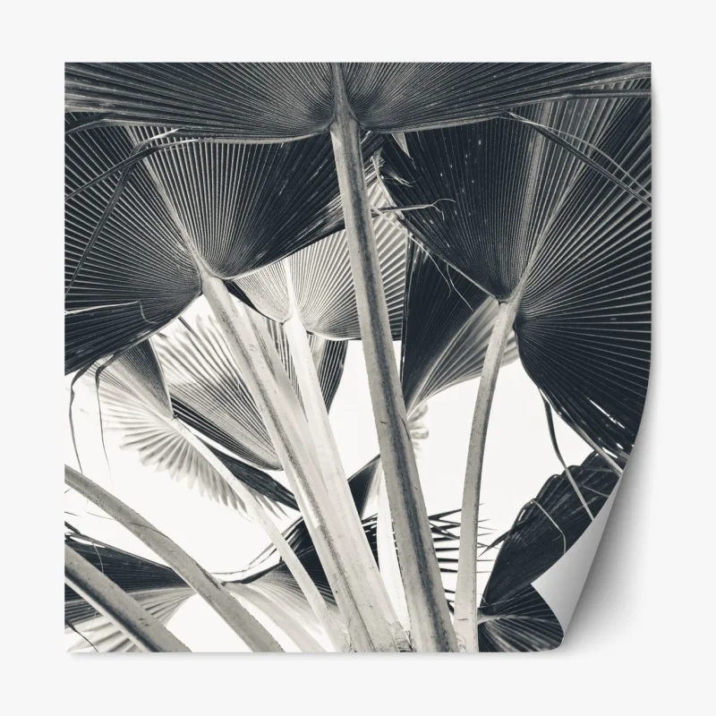 Naklejka repozycjonowalna turkusowa rzeka i drewniana ścieżka w lesie – Wallissimo®