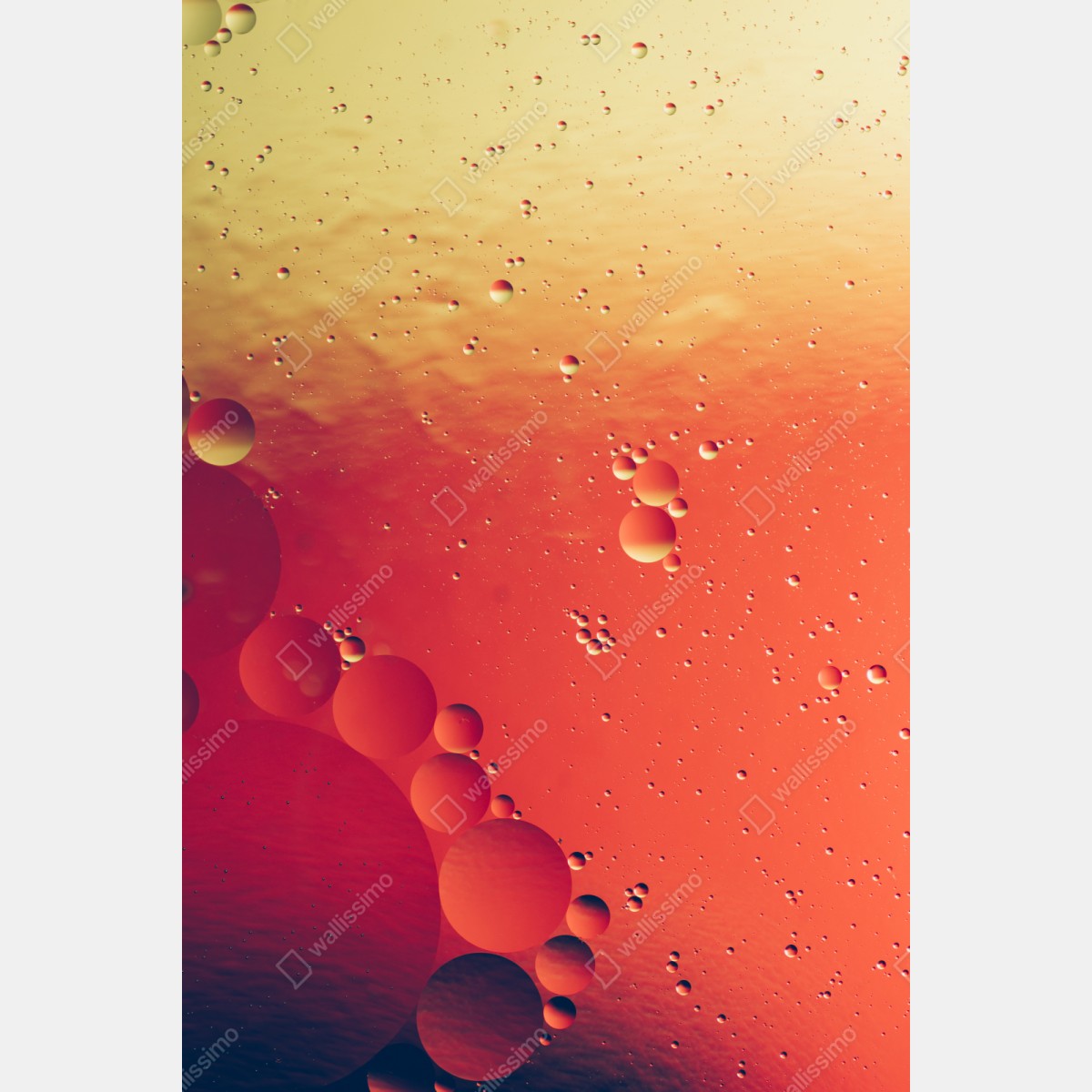 Naklejka repozycjonowalna ciepła pomarańczowa abstrakcja z bąbelkami – Wallissimo® Naklejka repozycjonowalna ciepła pomarańczowa abstrakcja z bąbelkami – Wallissimo®