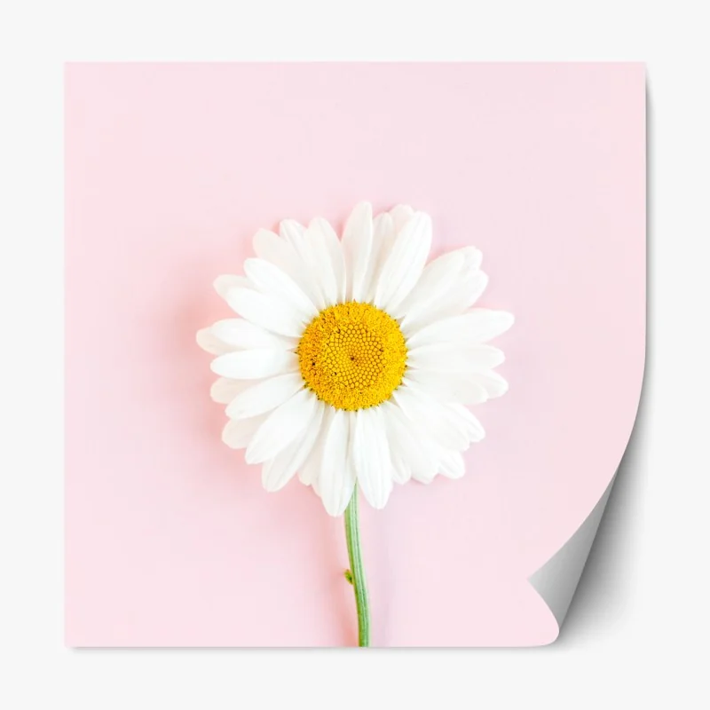 Naklejka repozycjonowalna pastelowy wzór łusek syreny – Wallissimo®