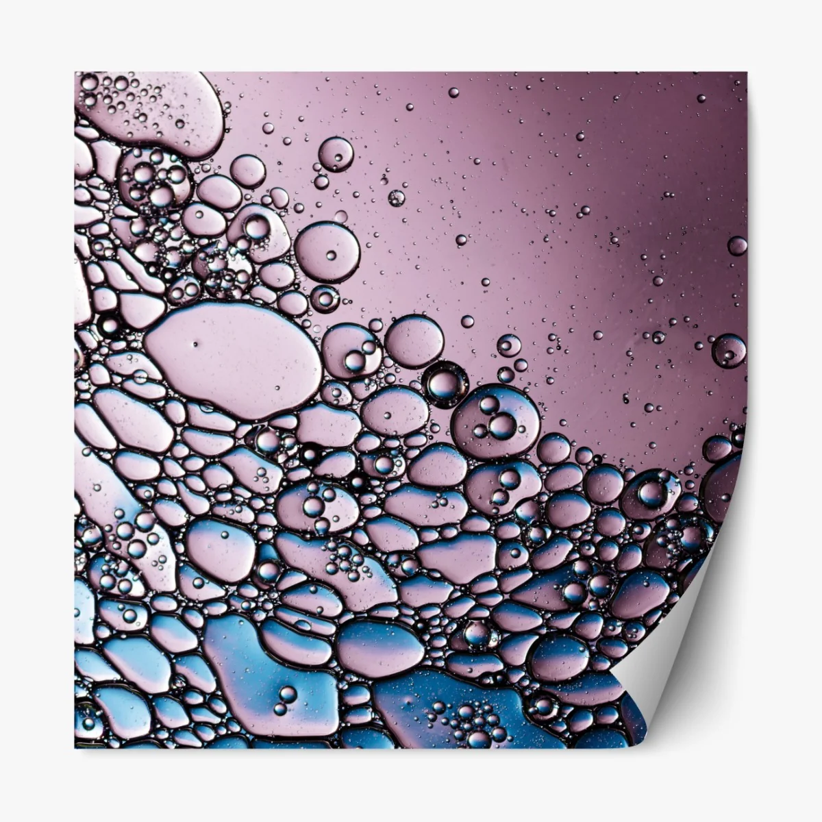 Naklejka repozycjonowalna fioletowy abstrakcyjny wzór z bąbelkami – Wallissimo® Naklejka repozycjonowalna fioletowy abstrakcyjny wzór z bąbelkami – Wallissimo®