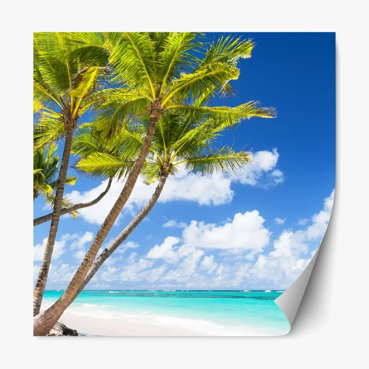 Naklejka repozycjonowalna tropikalna plaża z palmami w Punta Cana – Wallissimo® Naklejka repozycjonowalna tropikalna plaża z palmami w Punta Cana – Wallissimo®