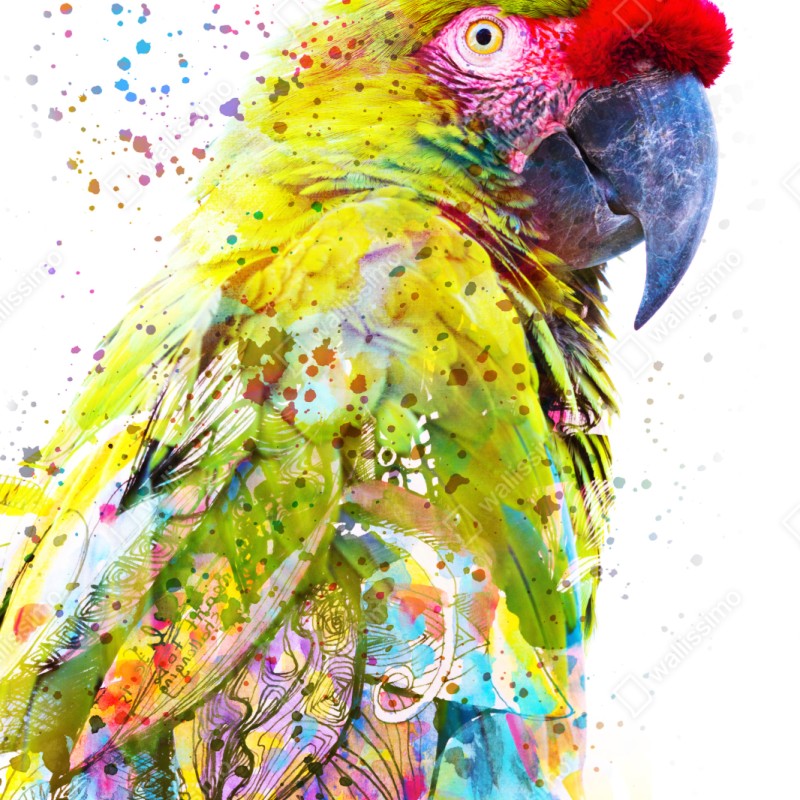 Naklejka repozycjonowalna żywy portret papugi w akwareli – Wallissimo® Naklejka repozycjonowalna żywy portret papugi w akwareli – Wallissimo®