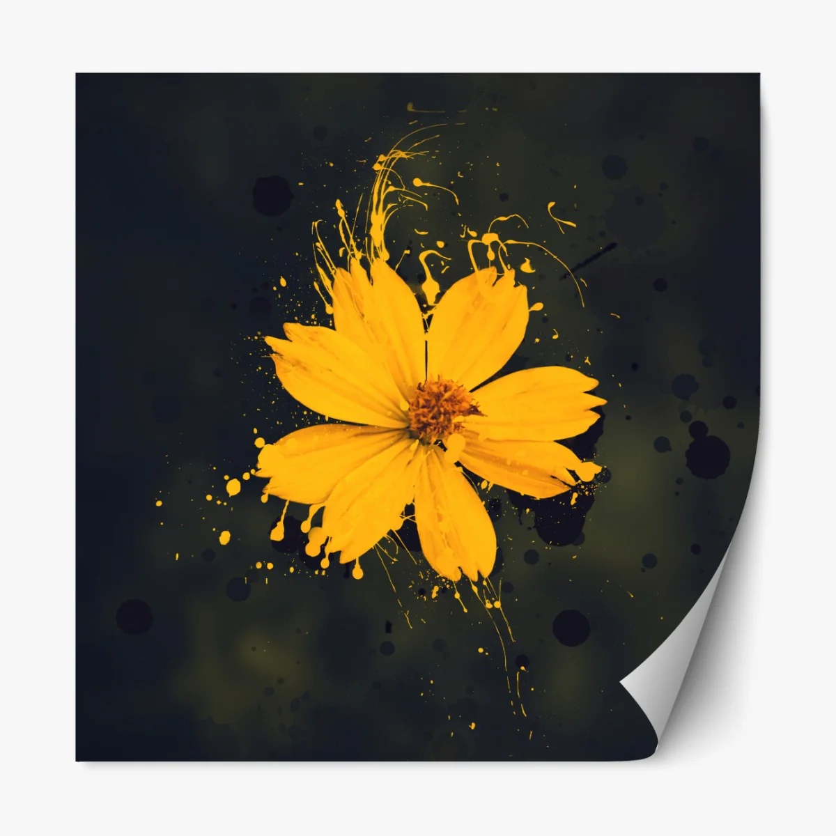 Naklejka repozycjonowalna intensywny żółty kwiat na ciemnym tle – Wallissimo® Naklejka repozycjonowalna intensywny żółty kwiat na ciemnym tle – Wallissimo®