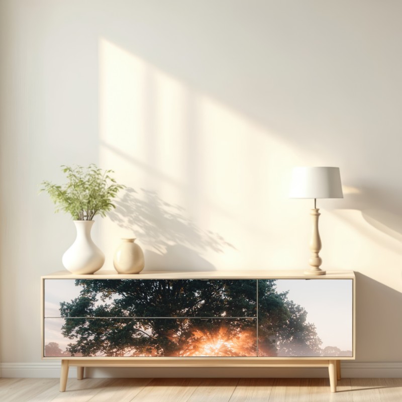 Naklejka repozycjonowalna mglisty wschód słońca przy dębie – Wallissimo® Naklejka repozycjonowalna mglisty wschód słońca przy dębie – Wallissimo®