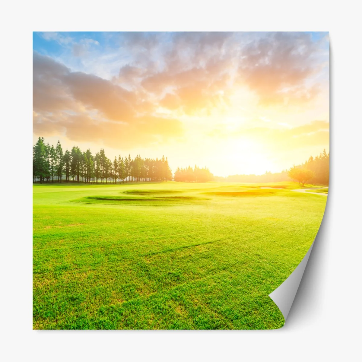 Naklejka repozycjonowalna słoneczna łąka i las o wschodzie słońca – Wallissimo® Naklejka repozycjonowalna słoneczna łąka i las o wschodzie słońca – Wallissimo®