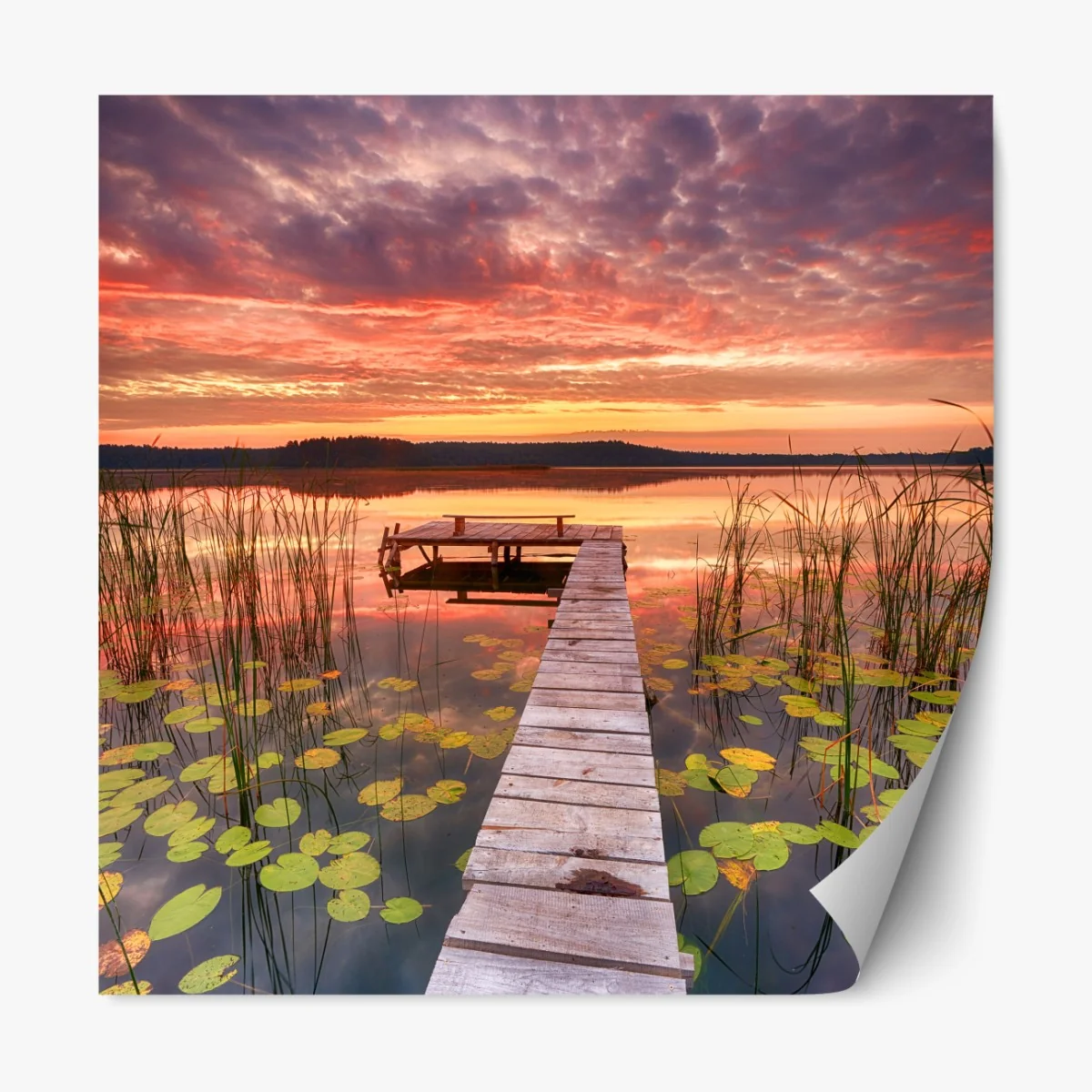 Naklejka repozycjonowalna wschód słońca nad spokojnym jeziorem – Wallissimo® Naklejka repozycjonowalna wschód słońca nad spokojnym jeziorem – Wallissimo®