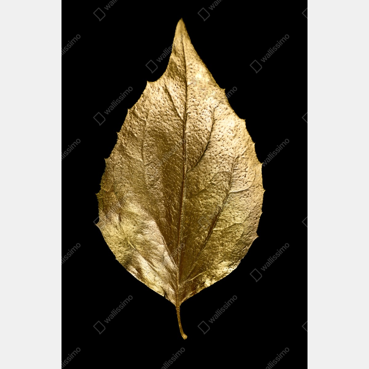 Naklejka repozycjonowalna złoty liść na czarnym tle – Wallissimo® Naklejka repozycjonowalna złoty liść na czarnym tle – Wallissimo®