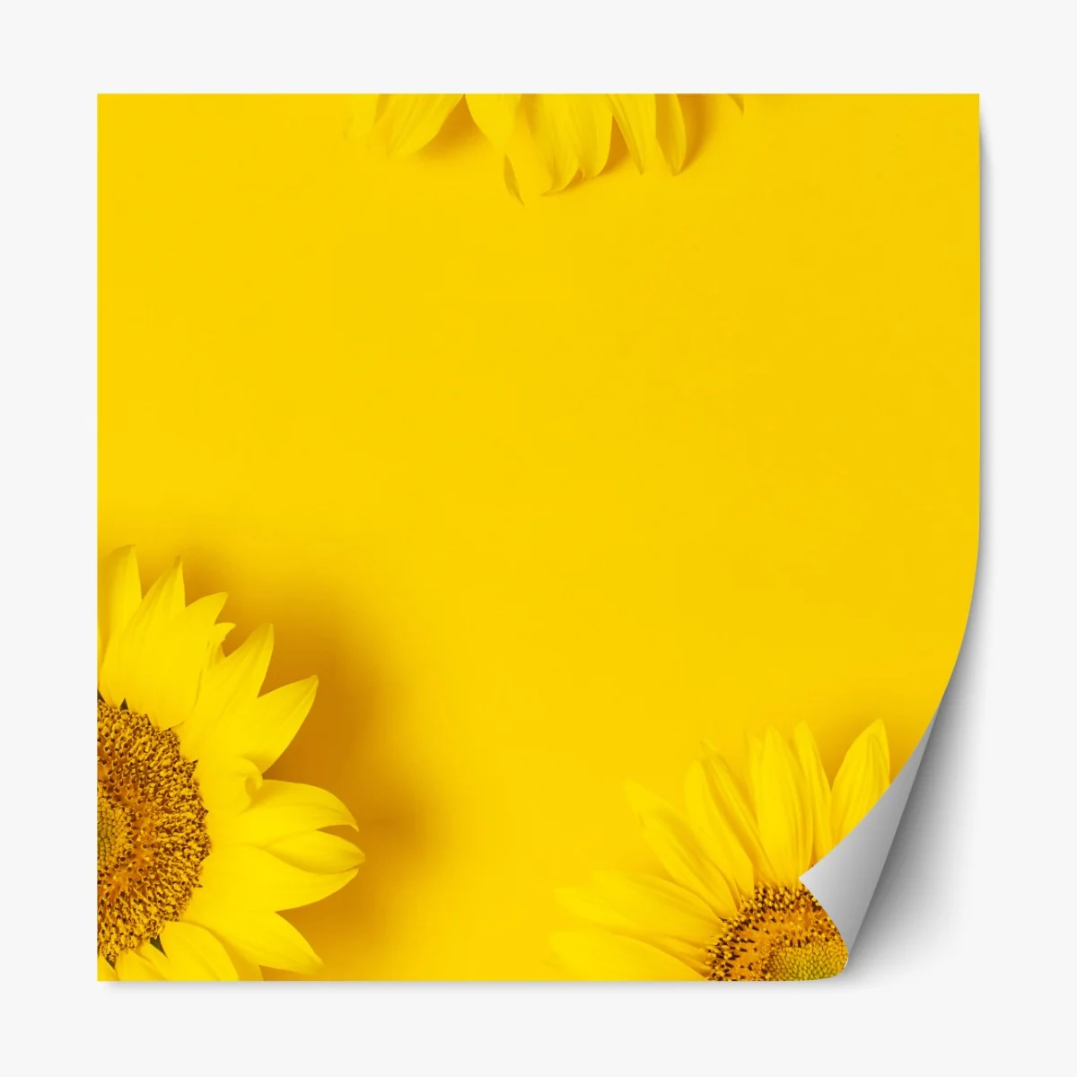 Naklejka repozycjonowalna trio słoneczników na żółtym tle – Wallissimo® Naklejka repozycjonowalna trio słoneczników na żółtym tle – Wallissimo®