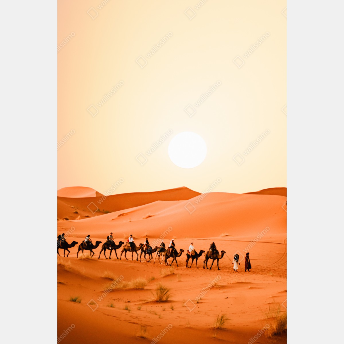 Naklejka repozycjonowalna karawana wielbłądów o zachodzie słońca na pustyni – Wallissimo® Naklejka repozycjonowalna karawana wielbłądów o zachodzie słońca na pustyni – Wallissimo®