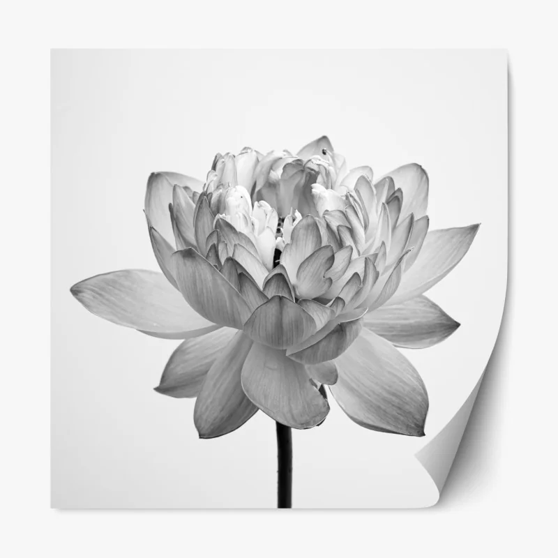 Naklejka repozycjonowalna zachód słońca nad wydmami Grace Bay – Wallissimo®