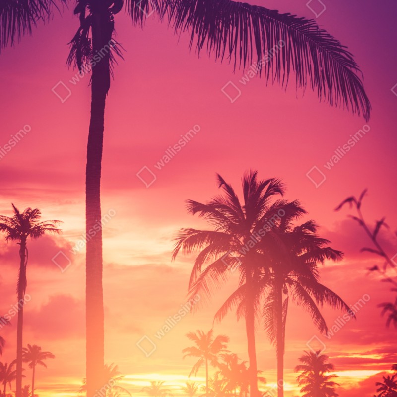 Naklejka repozycjonowalna tropikalny zachód słońca z palmami – Wallissimo® Naklejka repozycjonowalna tropikalny zachód słońca z palmami – Wallissimo®