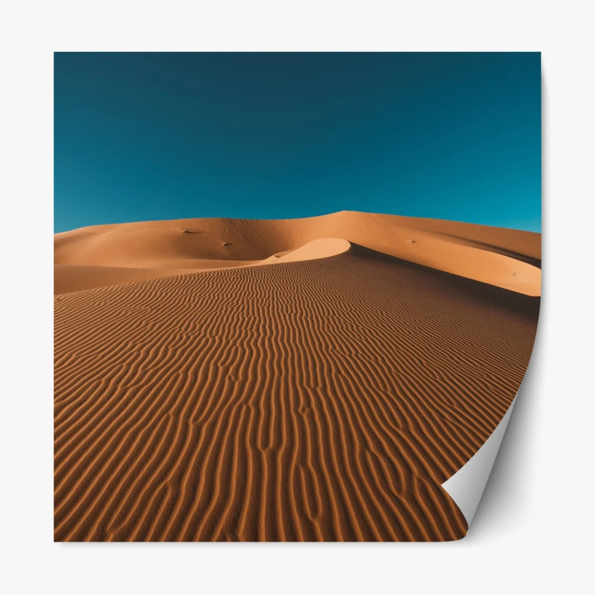 Naklejka repozycjonowalna złote wydmy pod głębokim niebem – Wallissimo® Naklejka repozycjonowalna złote wydmy pod głębokim niebem – Wallissimo®