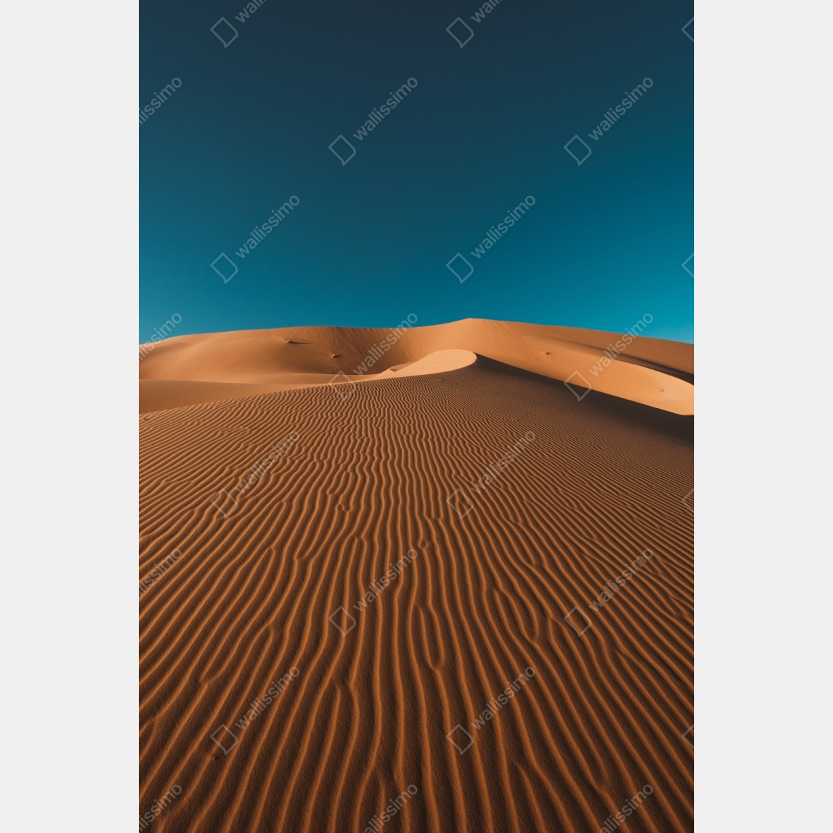 Naklejka repozycjonowalna złote wydmy pod głębokim niebem – Wallissimo® Naklejka repozycjonowalna złote wydmy pod głębokim niebem – Wallissimo®