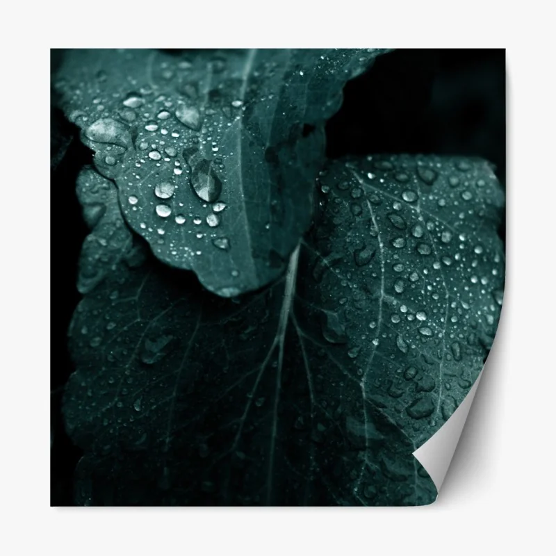 Naklejka repozycjonowalna pastelowe magnolie na beżowym tle – Wallissimo®