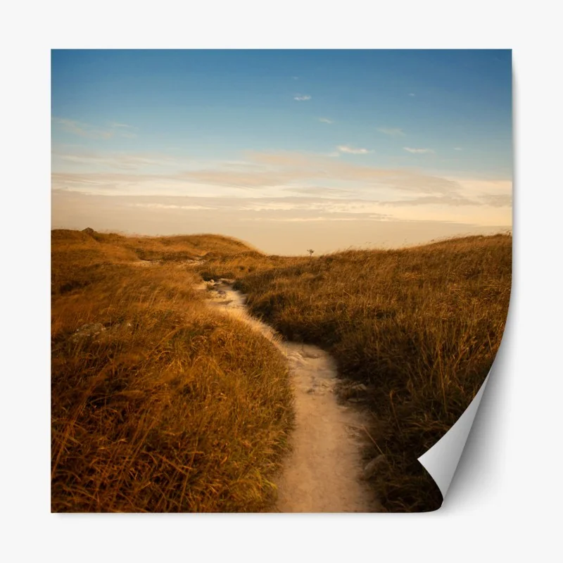 Naklejka repozycjonowalna słoneczna ścieżka przez wydmy