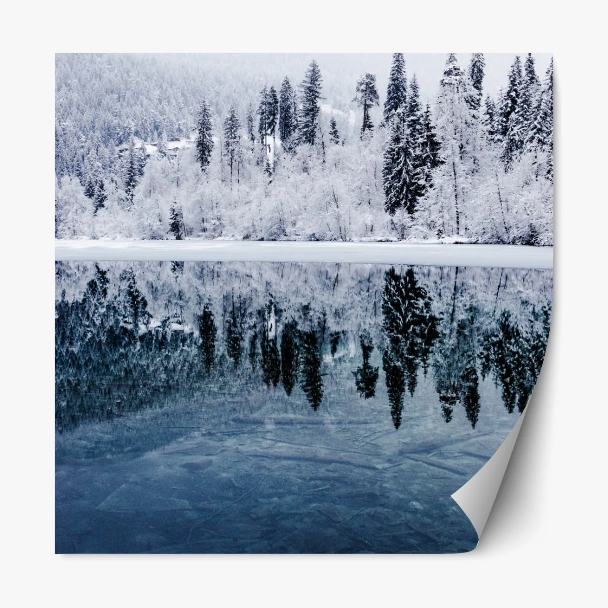 Naklejka repozycjonowalna zimowe jezioro z odbiciem w śnieżnym lesie – Wallissimo® Naklejka repozycjonowalna zimowe jezioro z odbiciem w śnieżnym lesie – Wallissimo®