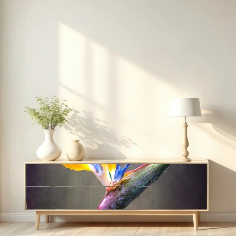 Naklejka repozycjonowalna strelicja w żywych kolorach – Wallissimo® Naklejka repozycjonowalna strelicja w żywych kolorach – Wallissimo®