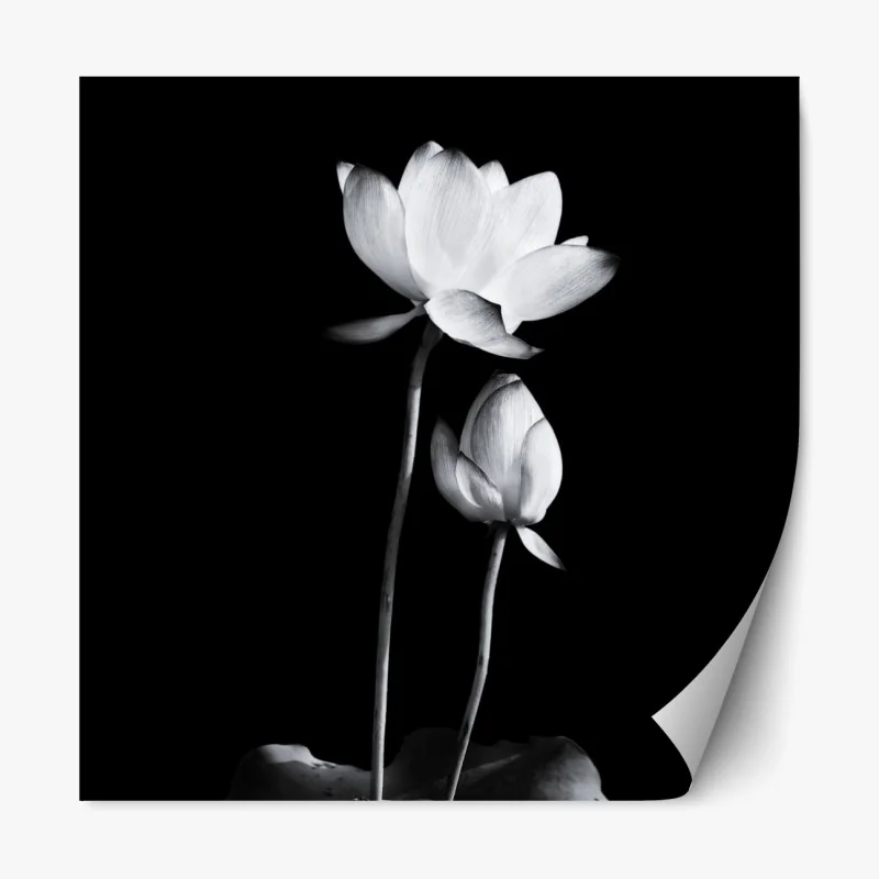 Naklejka repozycjonowalna tropikalny motyw tukanów – Wallissimo®