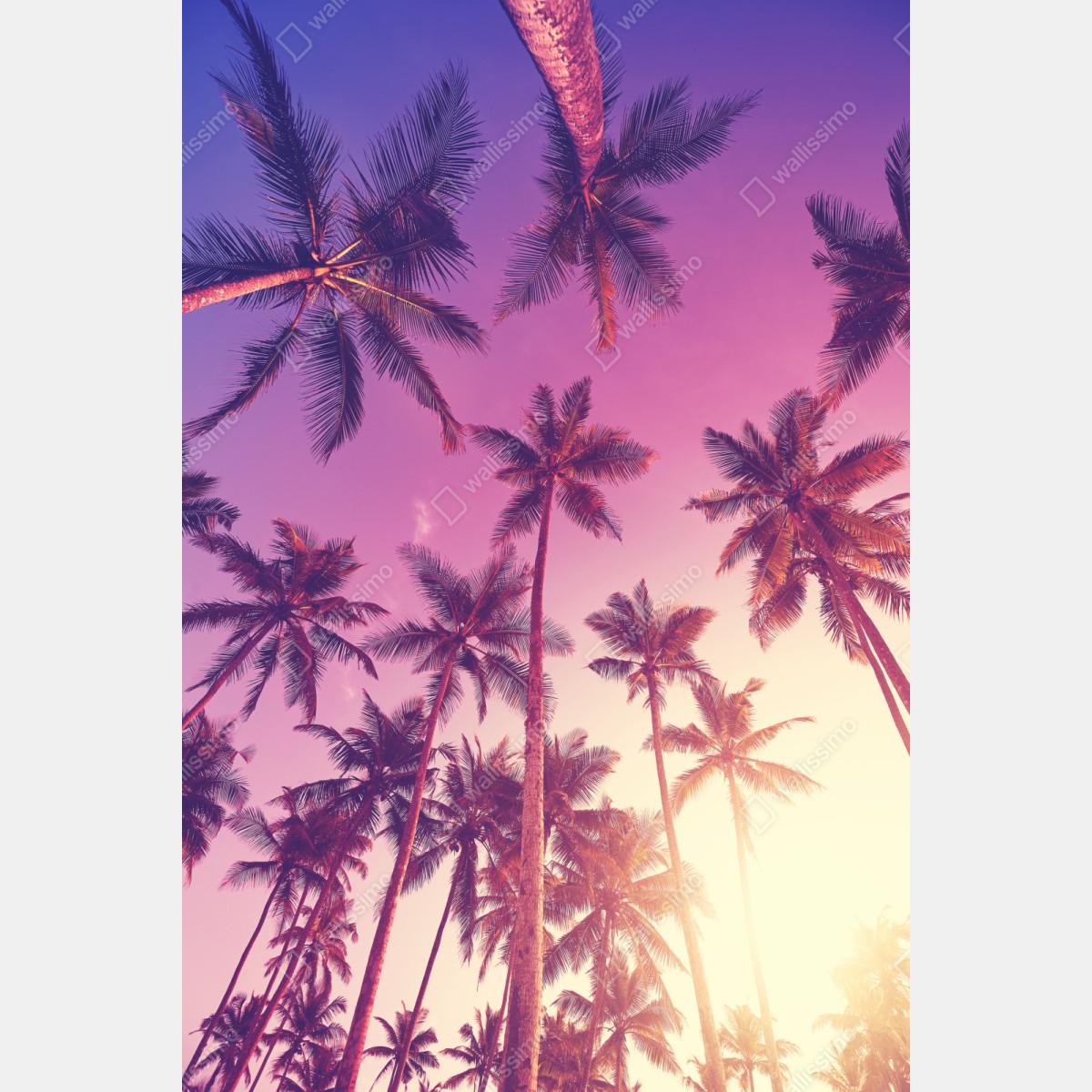 Naklejka repozycjonowalna tropikalne palmy o zachodzie słońca – Wallissimo® Naklejka repozycjonowalna tropikalne palmy o zachodzie słońca – Wallissimo®