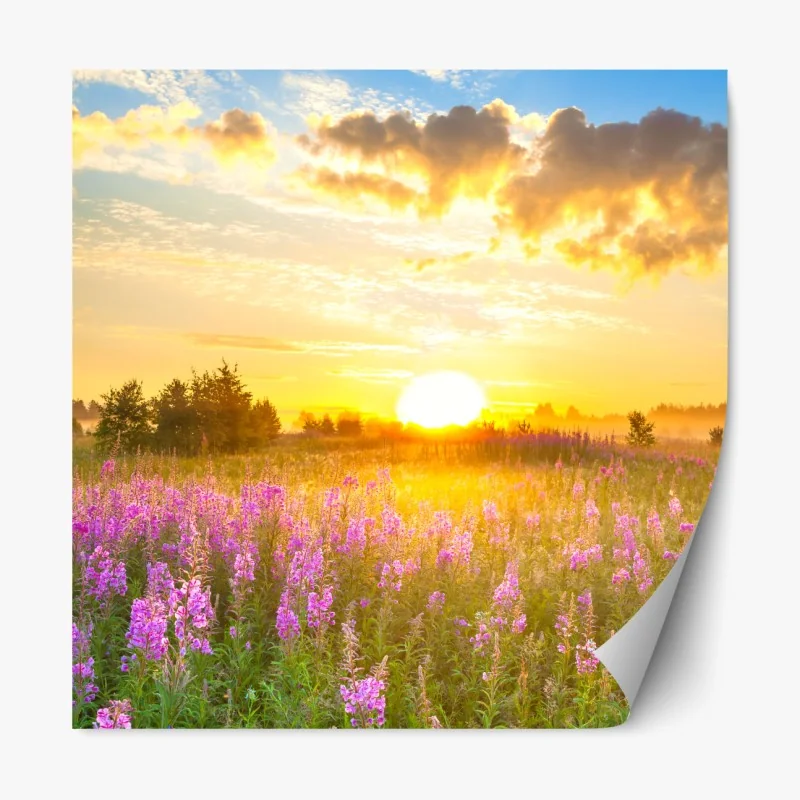 Naklejka repozycjonowalna alpejska łąka wiosną pod ośnieżonymi szczytami – Wallissimo®