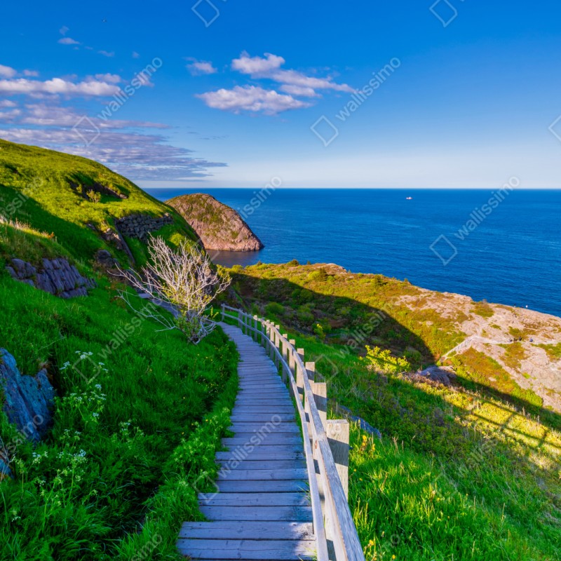 Naklejka repozycjonowalna nadmorska ścieżka z widokiem na morze – Wallissimo® Naklejka repozycjonowalna nadmorska ścieżka z widokiem na morze – Wallissimo®