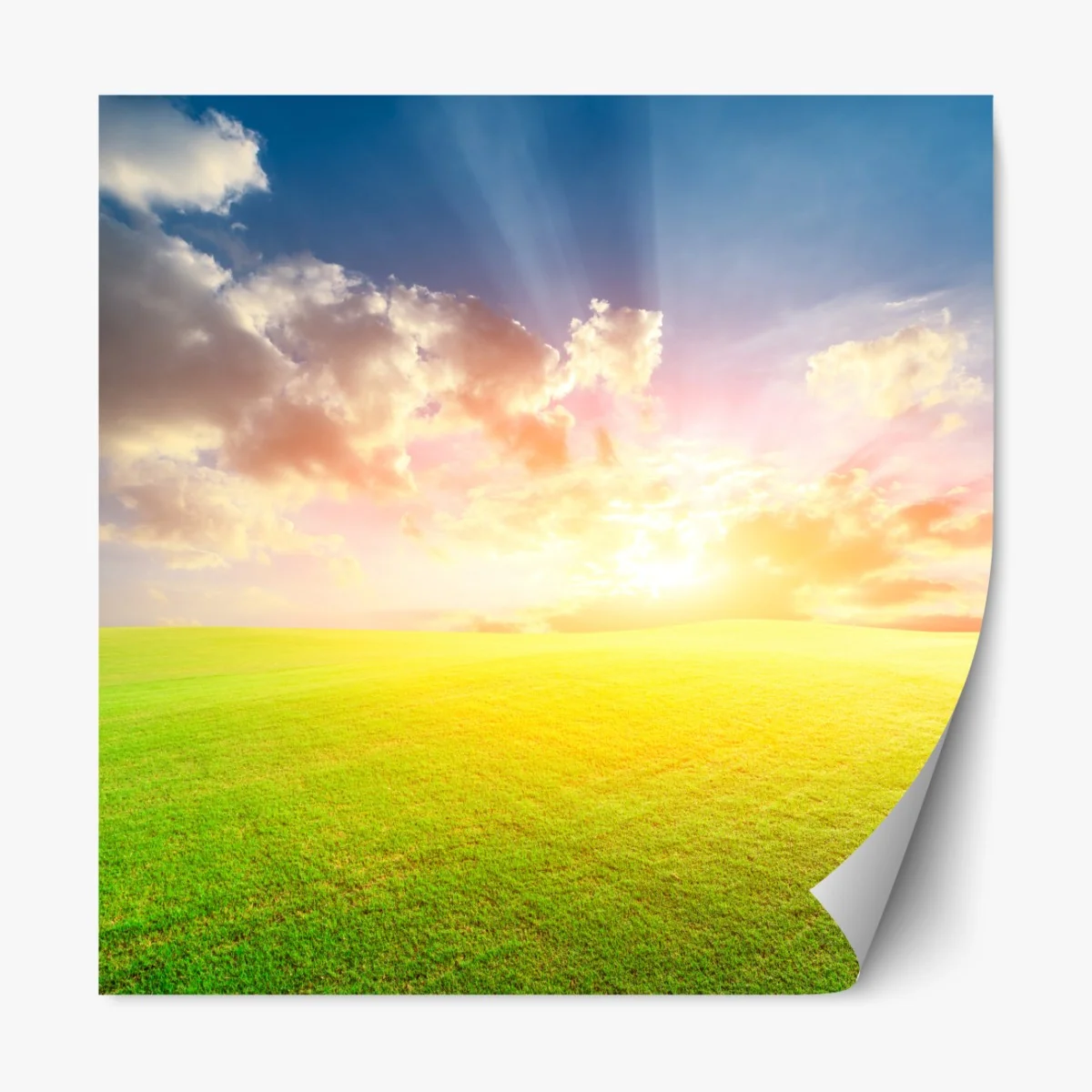 Naklejka repozycjonowalna słoneczna łąka o zmierzchu – Wallissimo® Naklejka repozycjonowalna słoneczna łąka o zmierzchu – Wallissimo®