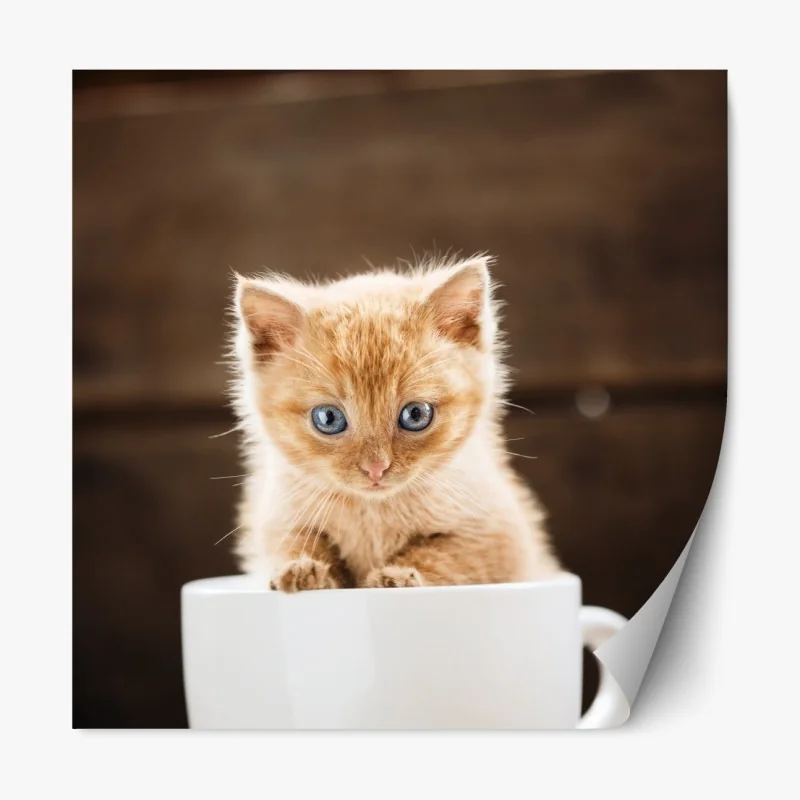 Naklejka repozycjonowalna rudy kociak w filiżance