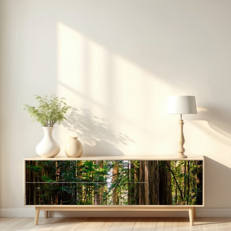 Naklejka repozycjonowalna majestatyczna ścieżka w lesie sekwoi – Wallissimo® Naklejka repozycjonowalna majestatyczna ścieżka w lesie sekwoi – Wallissimo®