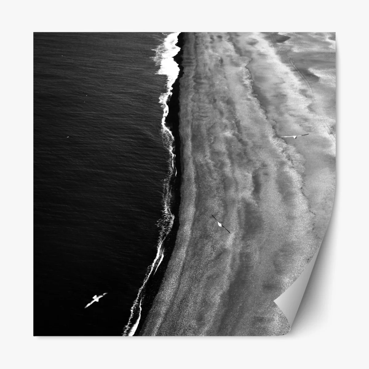 Naklejka repozycjonowalna monochromatyczne wybrzeże z lotu ptaka – Wallissimo® Naklejka repozycjonowalna monochromatyczne wybrzeże z lotu ptaka – Wallissimo®