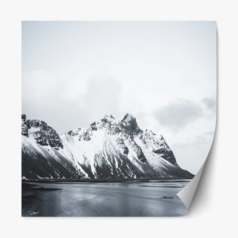 Naklejka repozycjonowalna tropikalny wzór botaniczny z tukanem – Wallissimo®