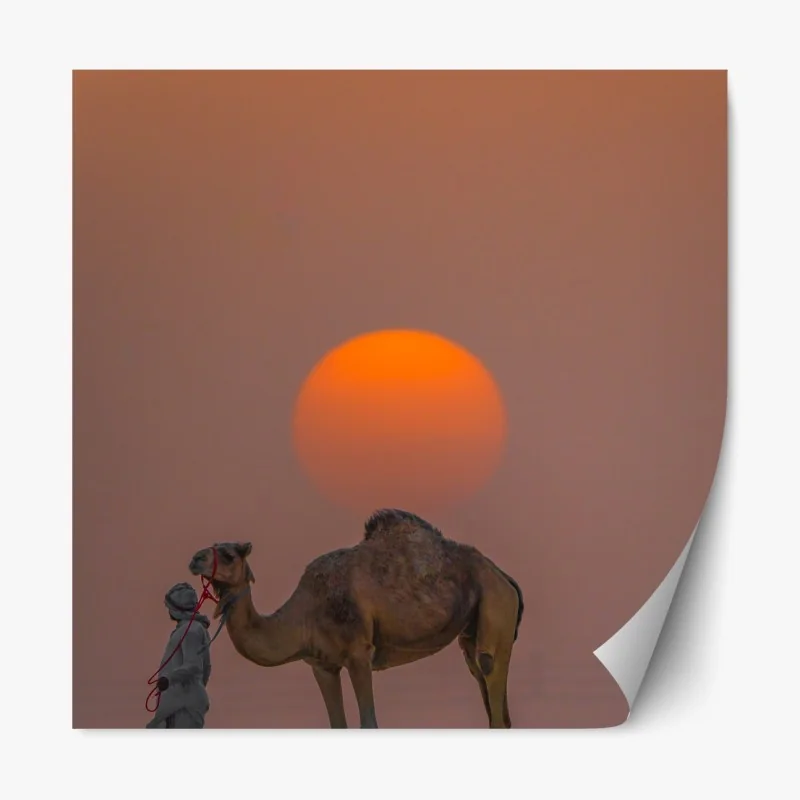 Naklejka repozycjonowalna zimowy las brzozowy ze złotym świtem – Wallissimo®