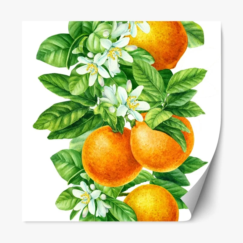 Naklejka repozycjonowalna akwarelowy wzór liści monstery – Wallissimo®