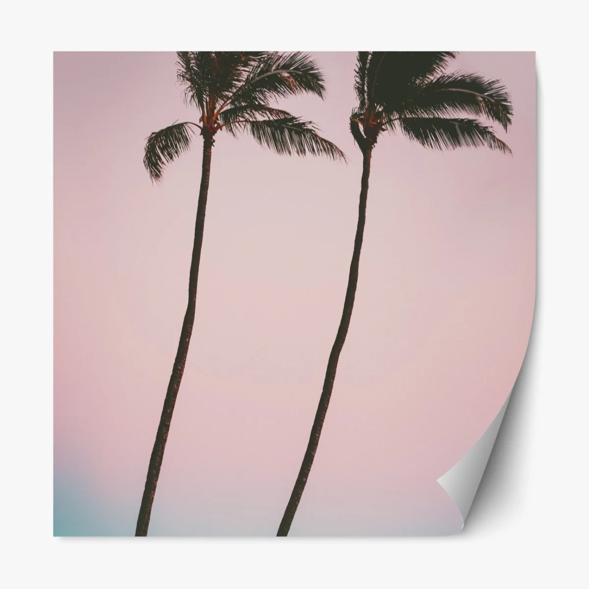 Naklejka repozycjonowalna pastelowe palmy o zmierzchu – Wallissimo® Naklejka repozycjonowalna pastelowe palmy o zmierzchu – Wallissimo®